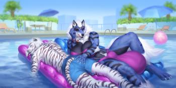 View stimkypawz's Gallery